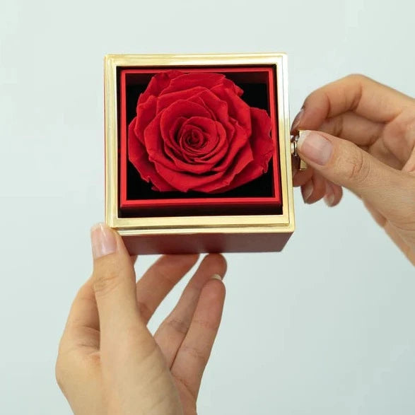 Eternal Rose Box &amp; Personalized Necklace